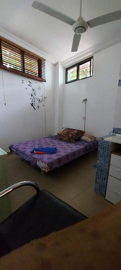Busy Bee Apartments Kololi Εξωτερικό φωτογραφία