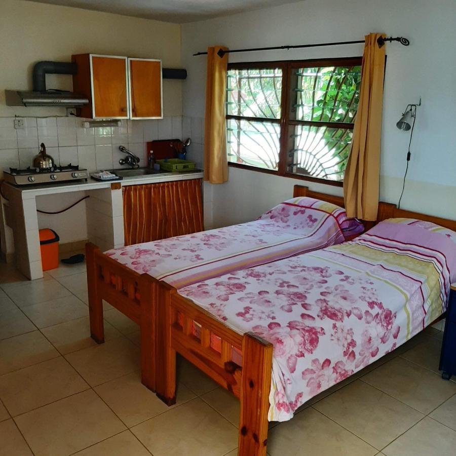 Busy Bee Apartments Kololi Εξωτερικό φωτογραφία